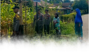 kapolsek-pulau-punjung-tinjau-lahan-jagung-kelompok-wanita-tani-tunas-muda--253004-113209